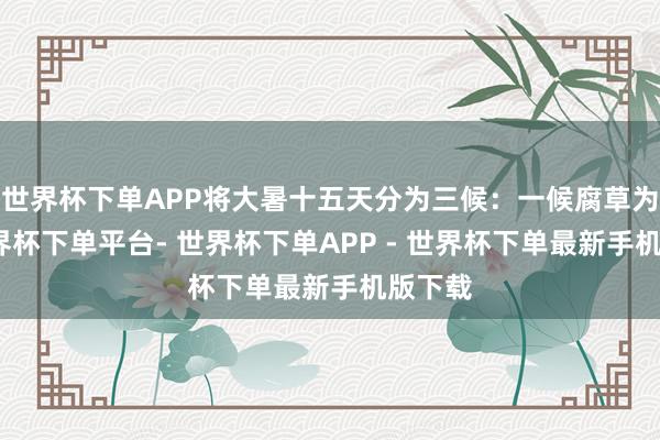 世界杯下单APP将大暑十五天分为三候：一候腐草为萤-世界杯下单平台- 世界杯下单APP - 世界杯下单最新手机版下载